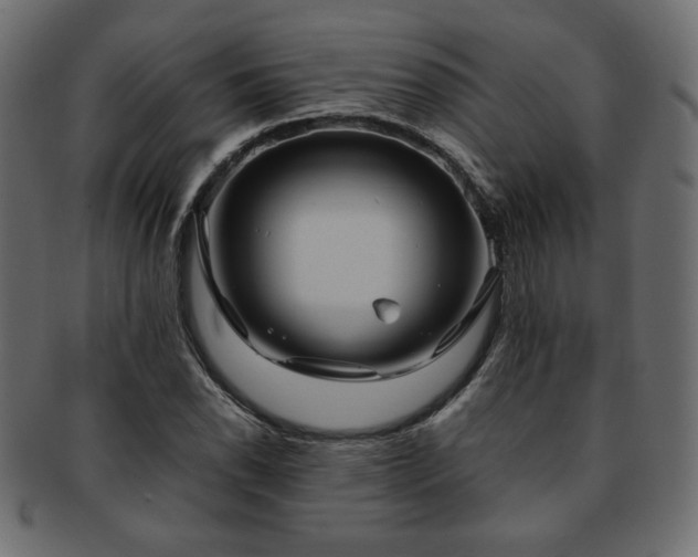 X0000093241118200710031557