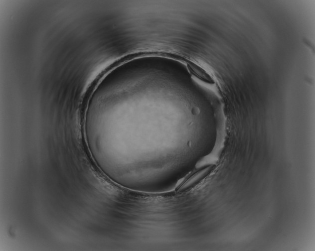 X0000093241120200710031557