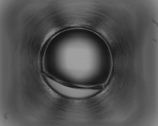 X0000093241122200710031557