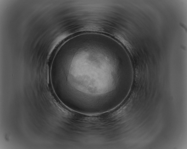 X0000093241123200710031557