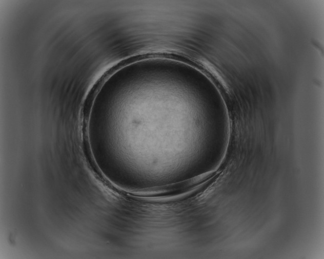 X0000093241124200710031557