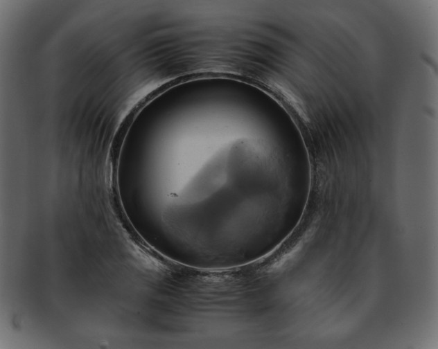 X0000093241125200710031557