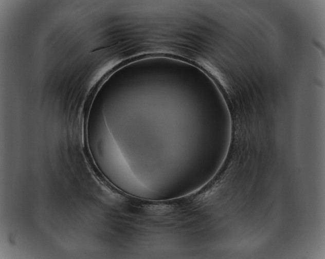 X0000093241127200710031557