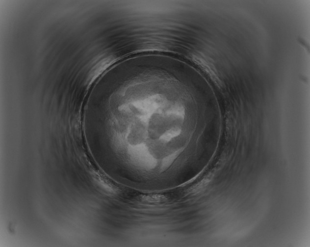 X0000093241129200710031557