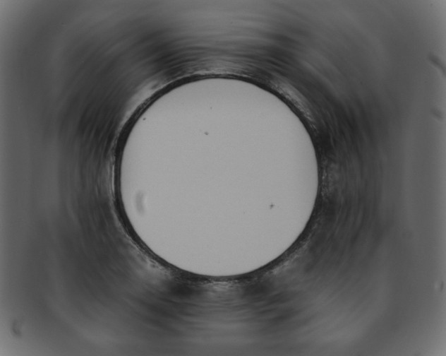 X0000093241130200710031557