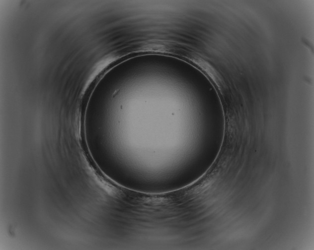 X0000093241131200710031557