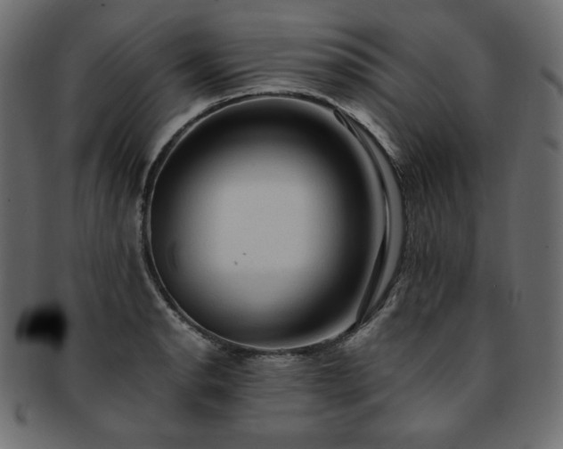 X0000093241134200710031557