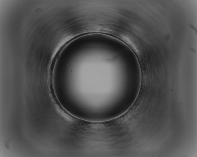 X0000093241136200710031557