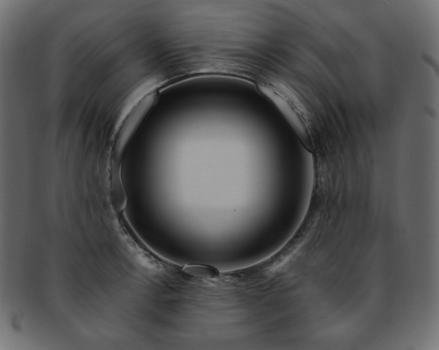 X0000093241138200710031557