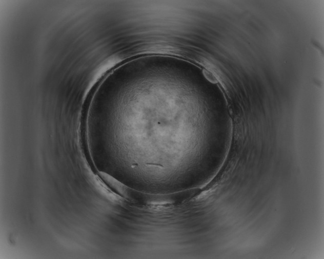 X0000093241139200710031557
