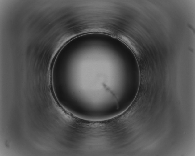 X0000093241140200710031557