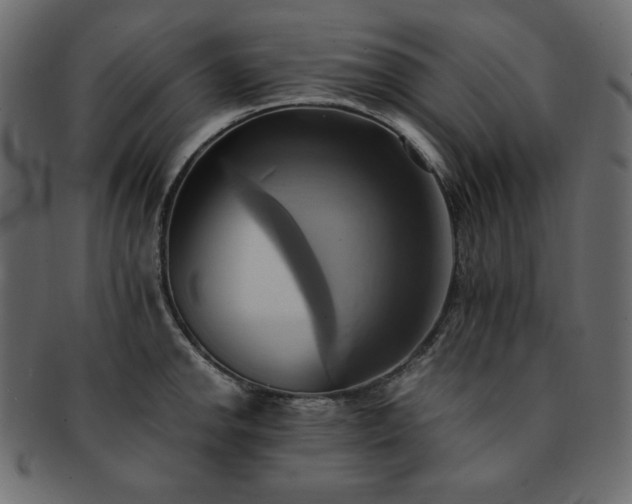 X0000093241142200710031557