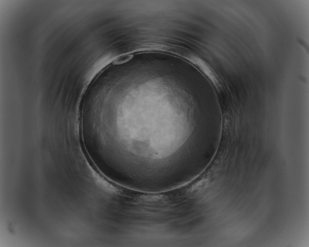 X0000093241143200710031557
