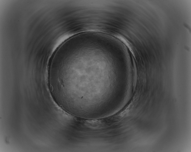 X0000093241147200710031557