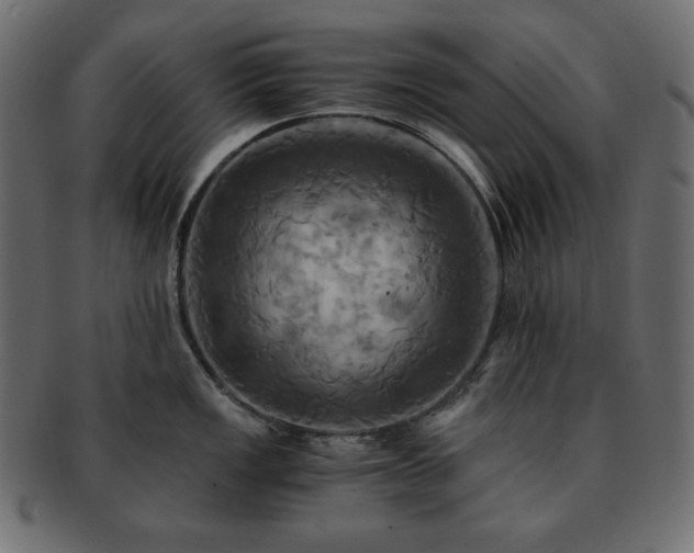 X0000093241149200710031557