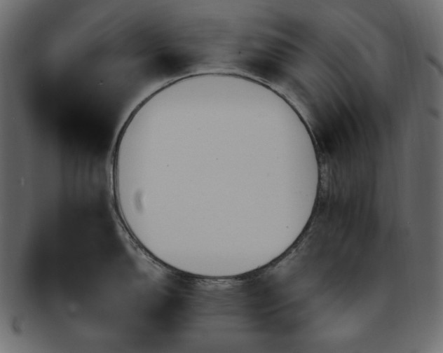 X0000093241150200710031557