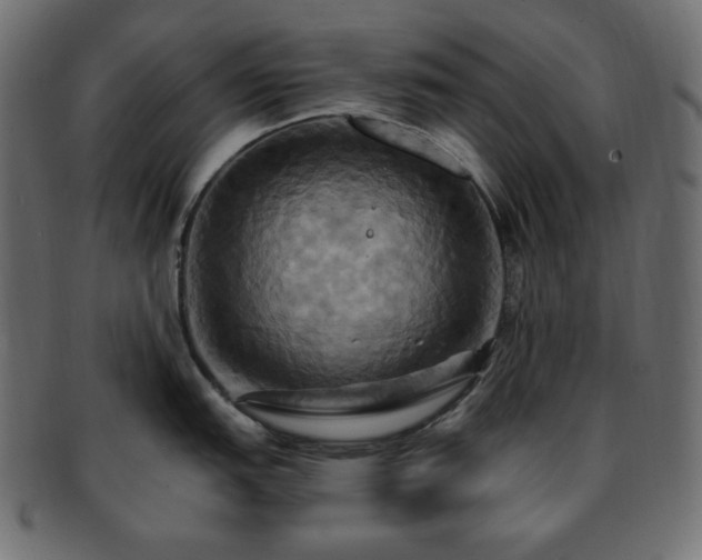 X0000093241151200710031557
