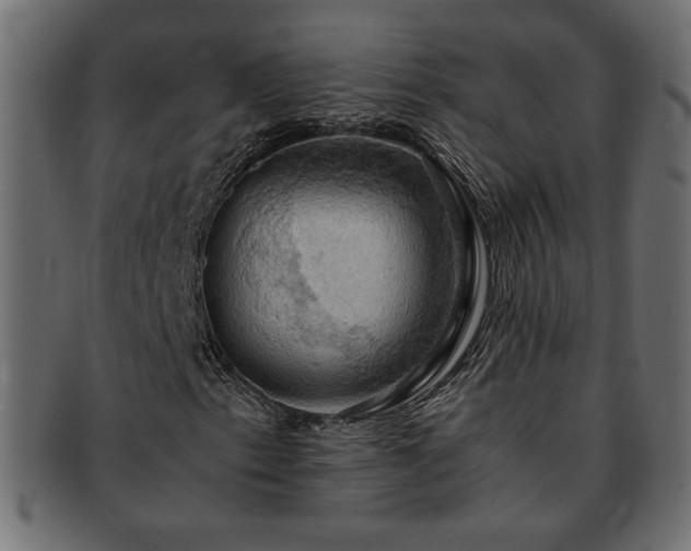 X0000093241153200710031557