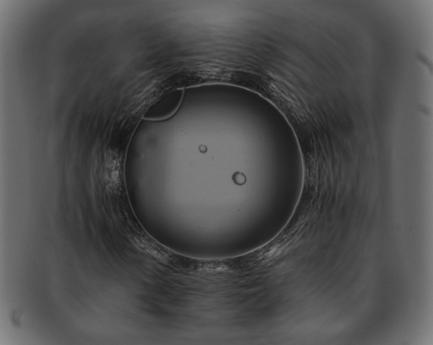 X0000093241154200710031556