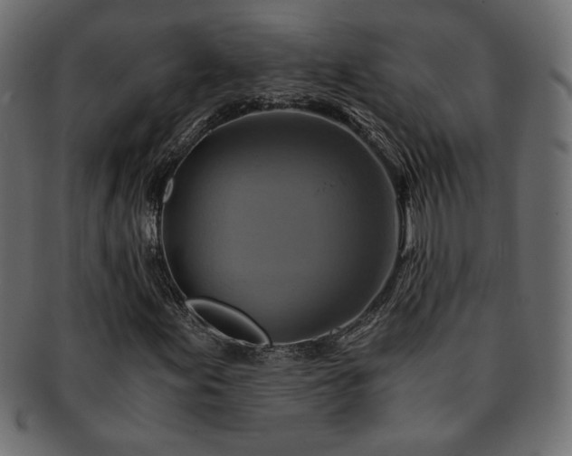 X0000093241155200710031556