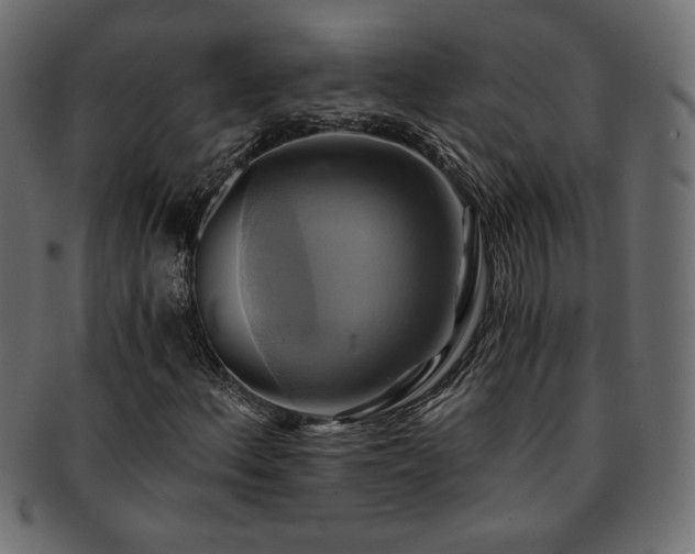X0000093241156200710031556