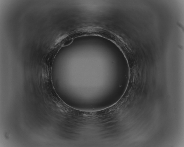 X0000093241158200710031556