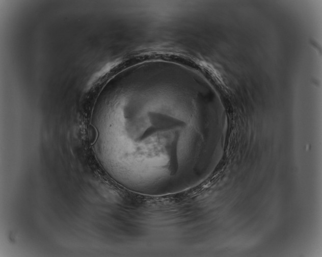 X0000093241159200710031556