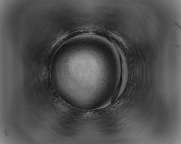 X0000093241160200710031556