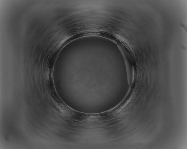 X0000093241161200710031556