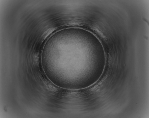 X0000093241162200710031556