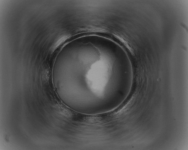 X0000093241163200710031556