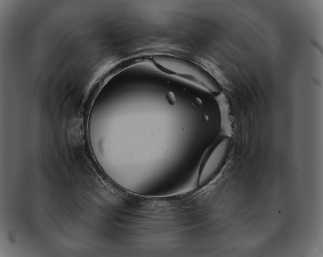 X0000093241164200710031556