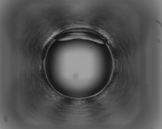X0000093241165200710031556