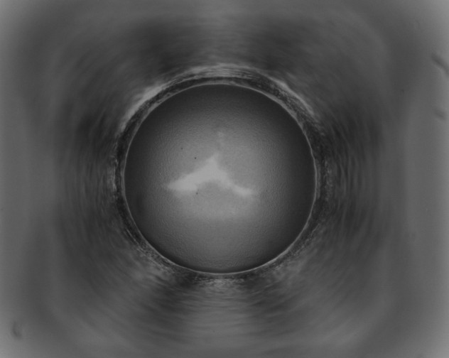 X0000093241166200710031556