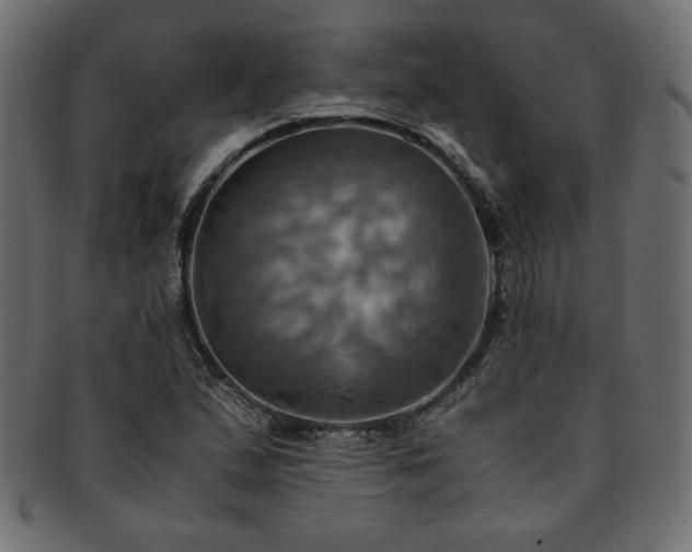 X0000093241167200710031556