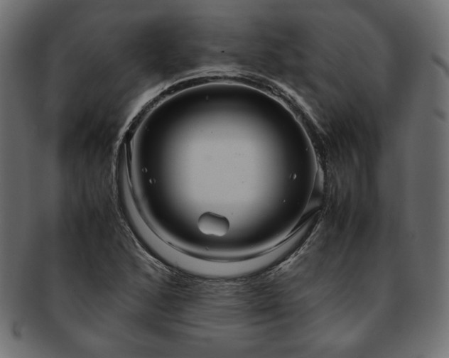 X0000093241168200710031556