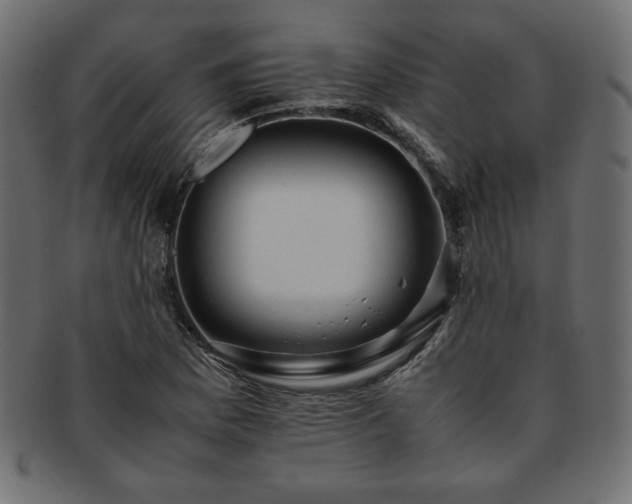X0000093241169200710031556