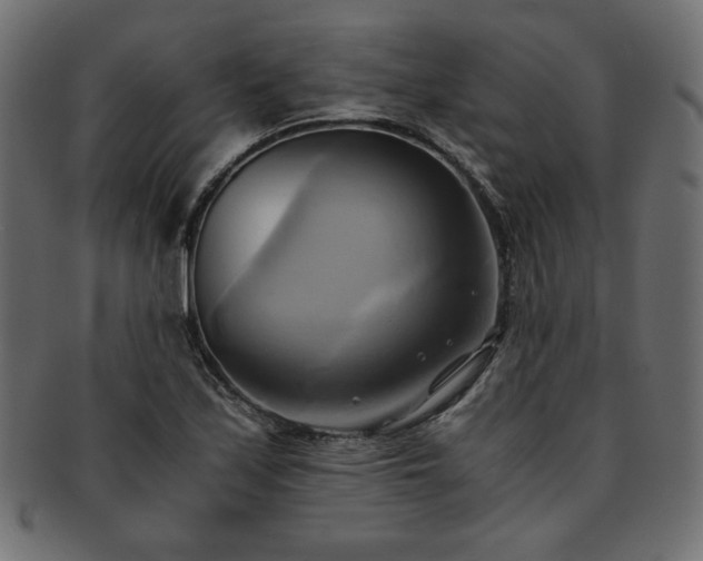 X0000093241171200710031556
