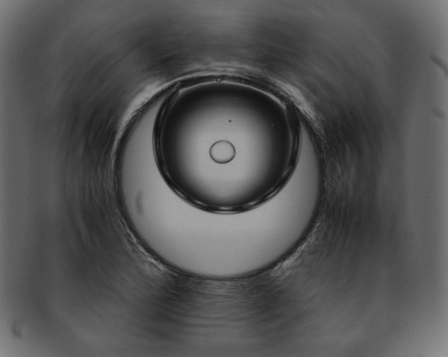X0000093241172200710031556