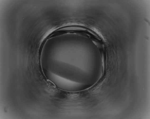 X0000093241173200710031556