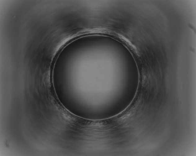 X0000093241174200710031556