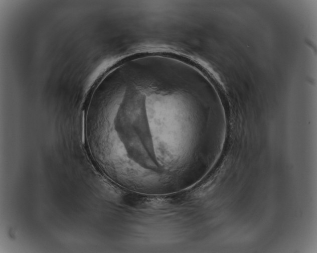 X0000093241175200710031556