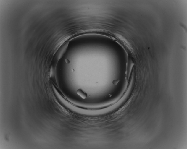 X0000093241177200710031556