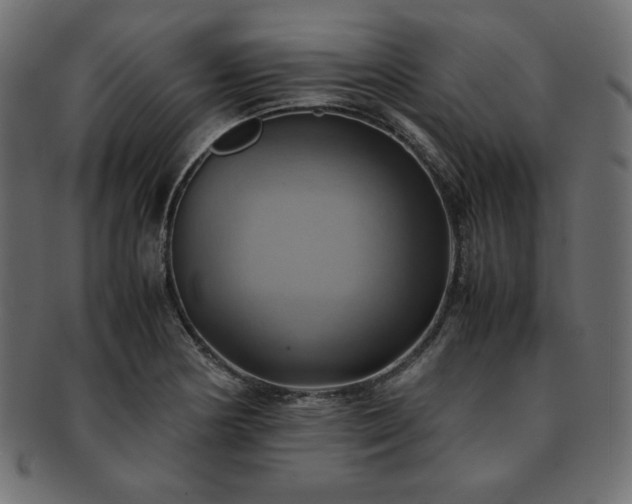 X0000093241178200710031556
