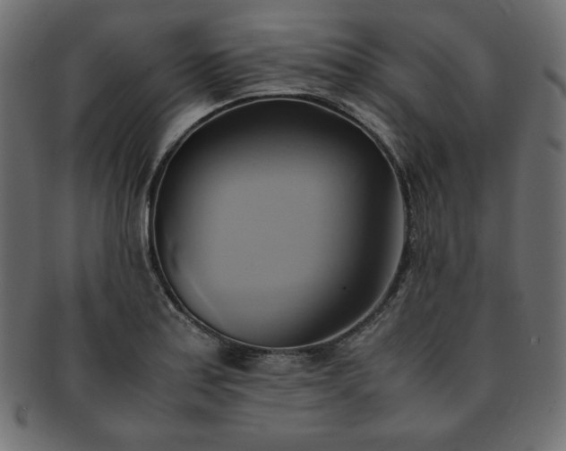 X0000093241179200710031556