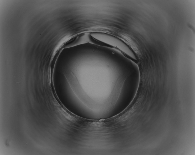 X0000093241180200710031556