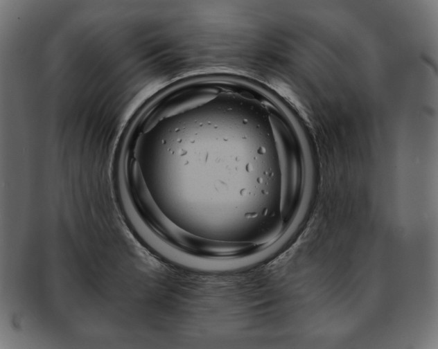 X0000093241181200710031556