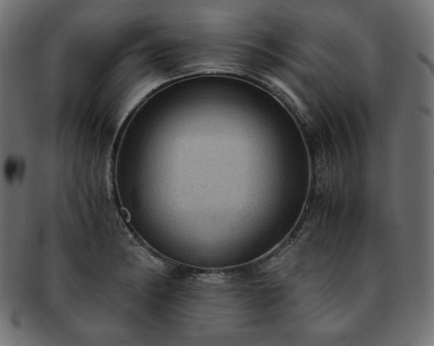 X0000093241182200710031556