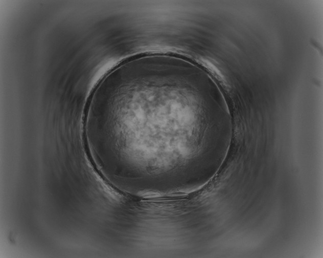 X0000093241183200710031556