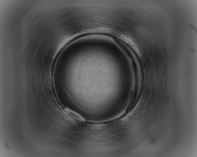 X0000093241184200710031556